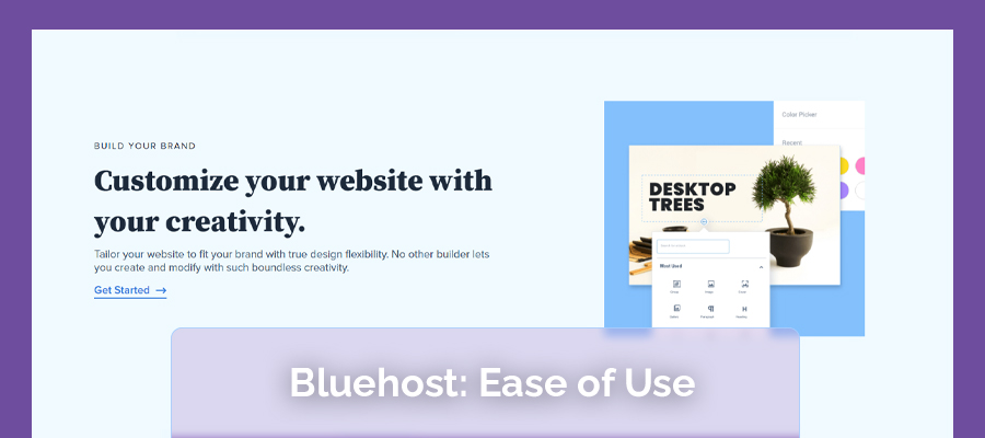 BLUEHOST- EASE OF USE