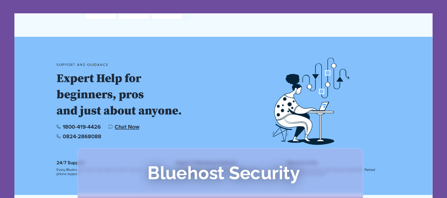 bluehost security