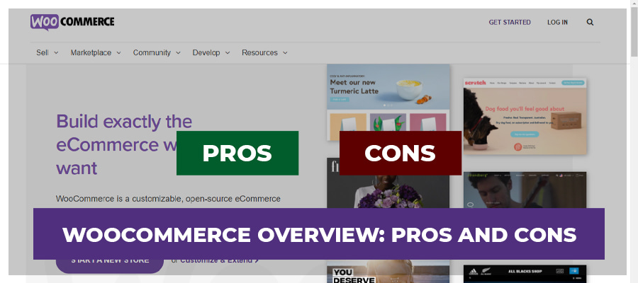 Woocommerce overview